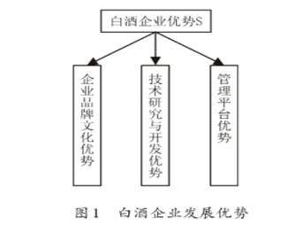 白酒企業(yè)SWOT分析